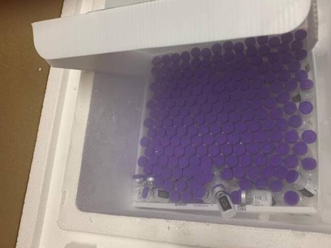 Las primeras vacunas llegan al Hospital de Valdepeñas (Ciudad Real)