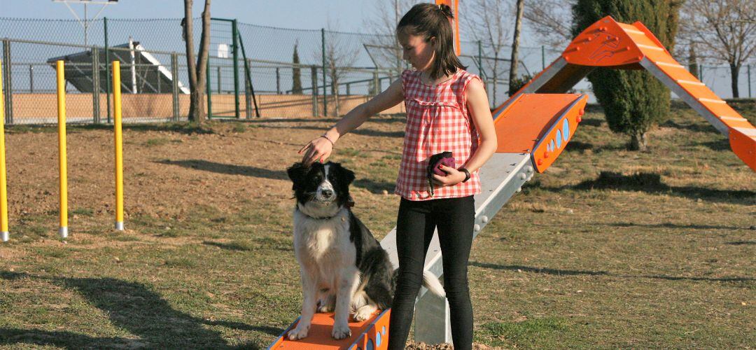 Tres Cantos cuenta con una nueva área de recreo canino con ‘Agility’