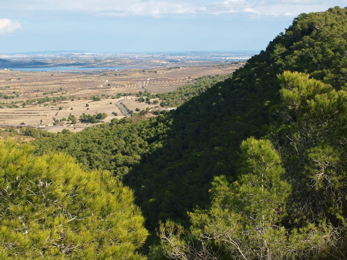 Sierra Escalona avanza hacia su declaración como parque natural tras la aprobación del PORN