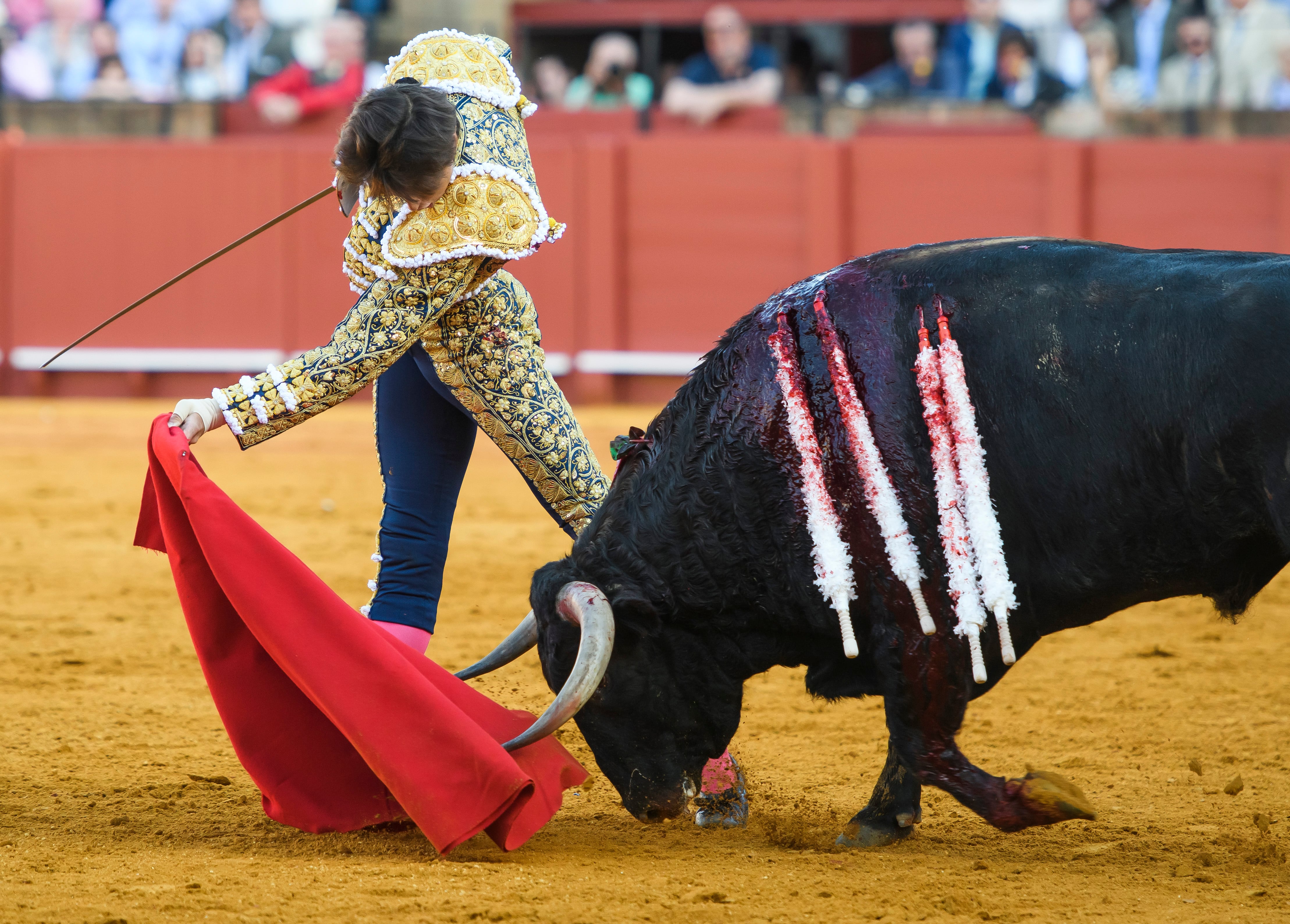 SEVILLA, 21/04/2023.- El diestro peruano Andrés Roca Rey con su primer toro, este viernes en la Real Maestranza de Sevilla. EFE/ Raúl Caro
