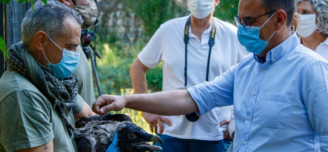 El director general de Medio Natural, Biodiversidad y Espacios Protegidos, Ángel Sánchez, visita el centro donde se crían los Quebrantahuesos.