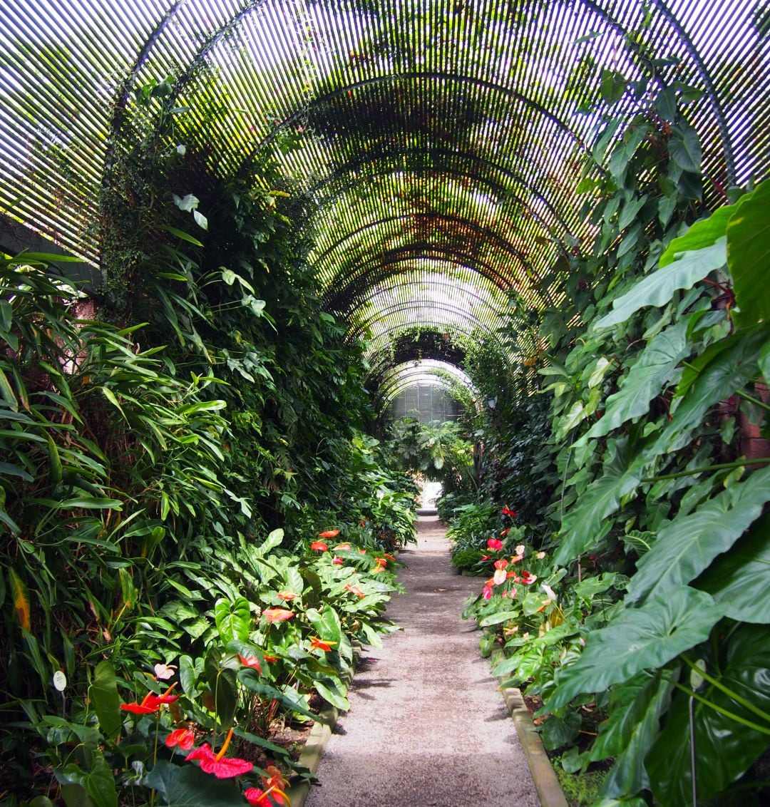 Jardín Botánico Puerto de la Cruz