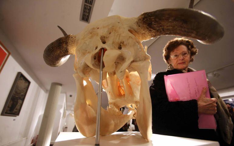 Una de las piezas que se pueden contemplar en la exposición