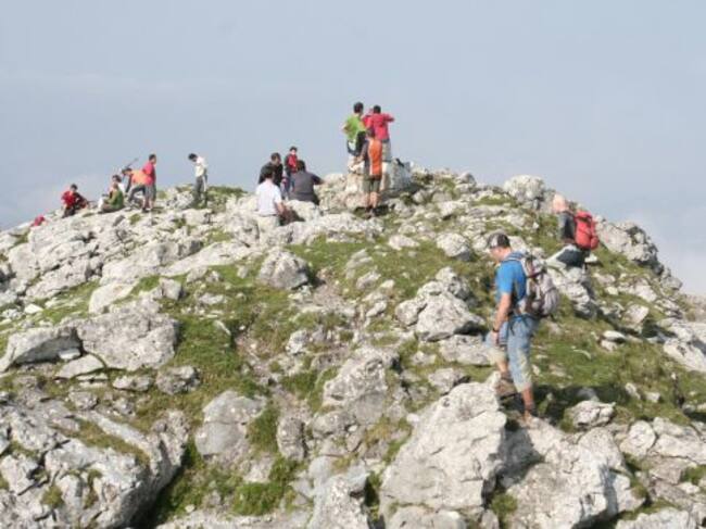 osakimendi2009.blogspot.com