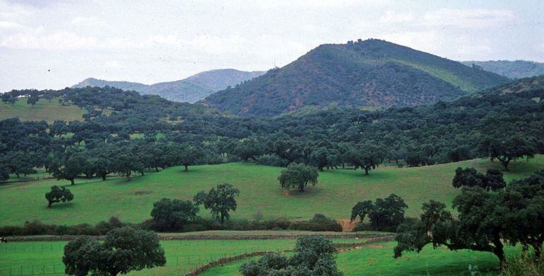 Sierra de Aracena y Picos de Aroche.