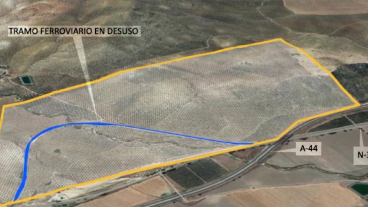 Jaén Merece Más continuará por la vía penal contra la decisión del Colce