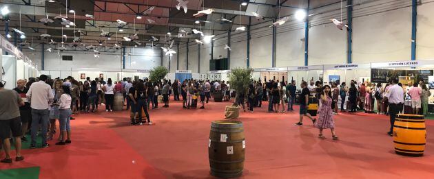 Inaugurado la edición 19 del Túnel del Vino