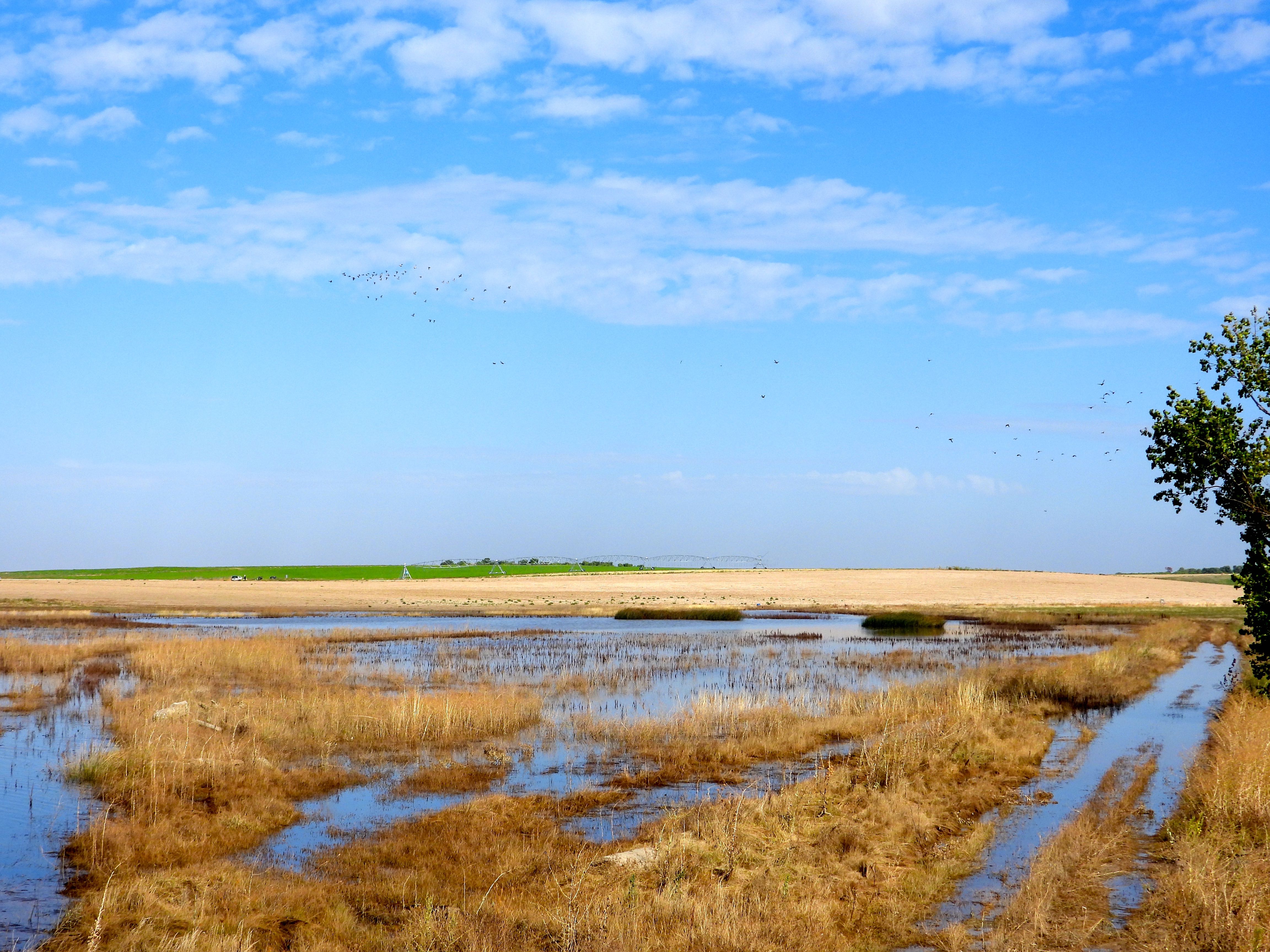 Laguna del Regajal, una de las zonas donde se señalizará