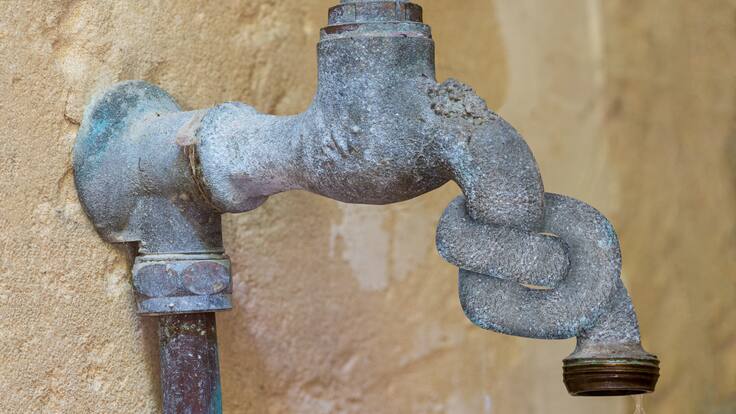 La Llavor 14/01/2023