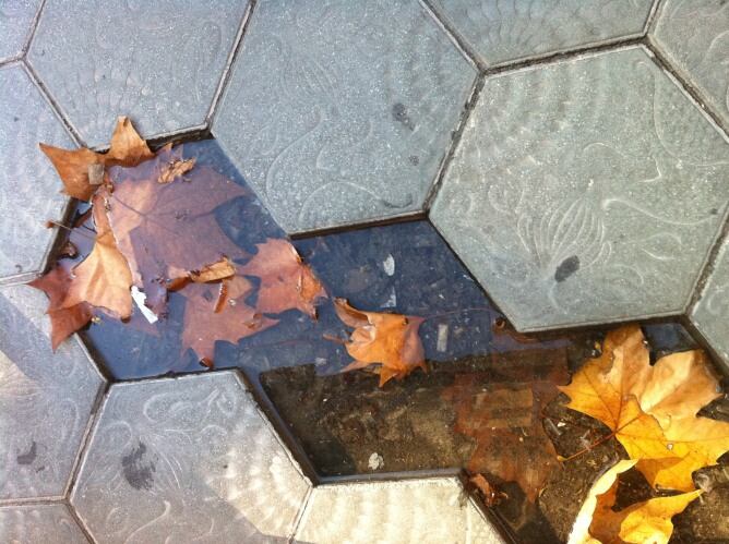 Llambordes del Passeig de Gràcia de Barcelona