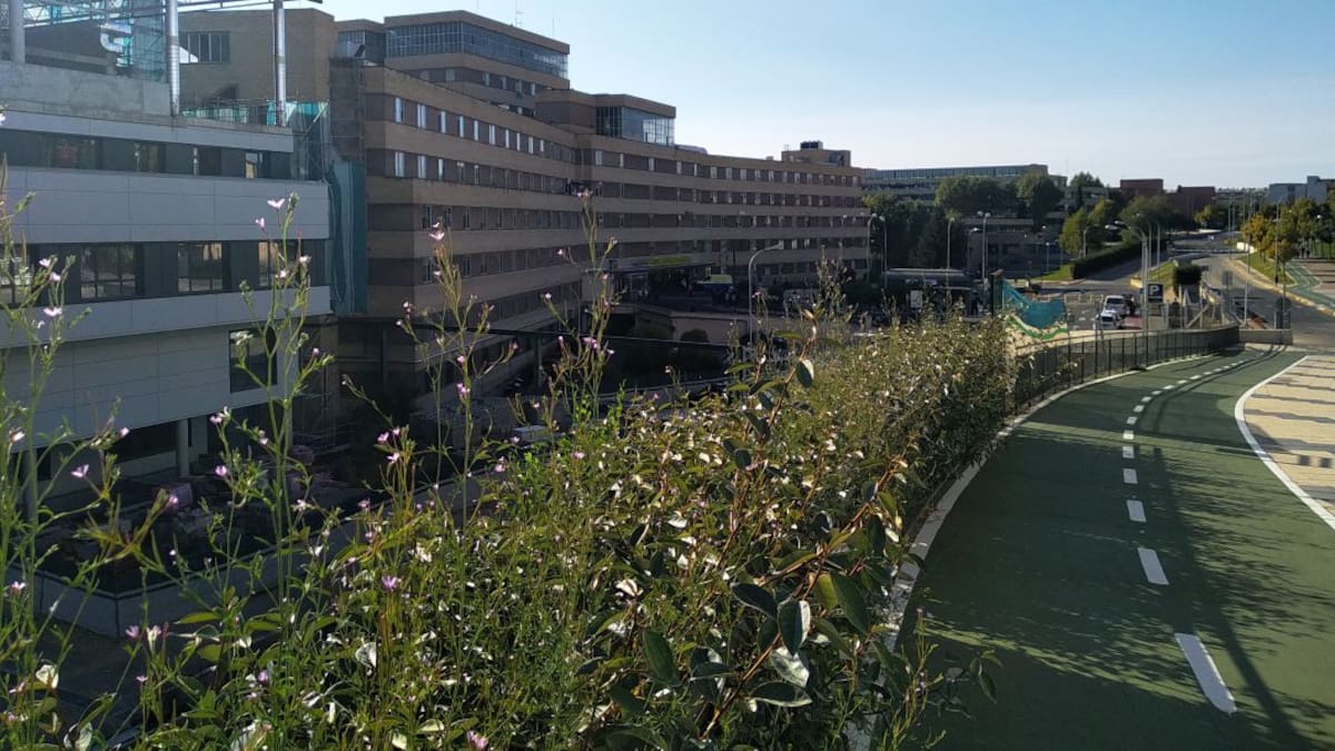 La incidencia del covid en Salamanca no da tregua y aproxima a la capital a los 500 casos por 100.000 personas