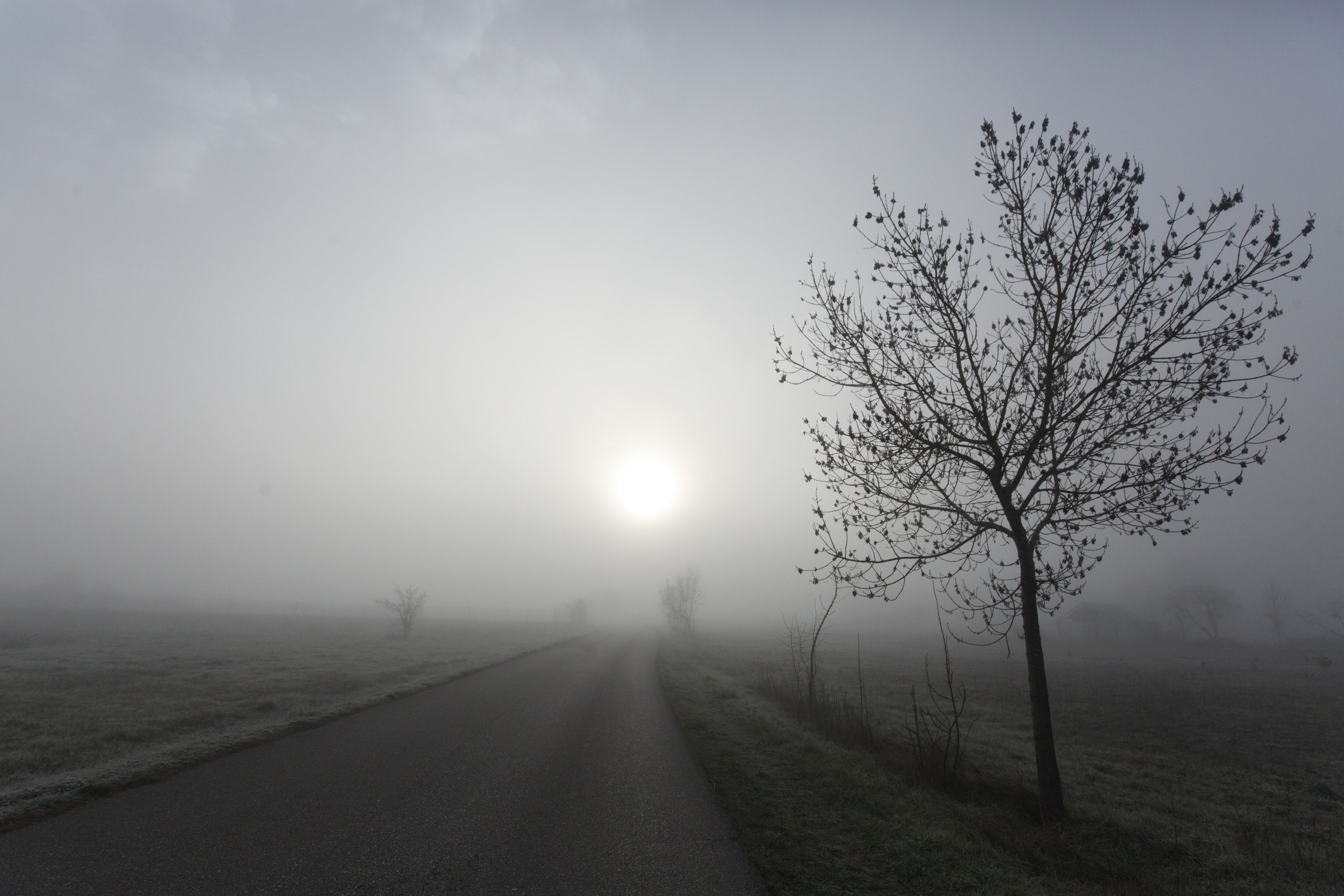 Intensa niebla en el Bierzo