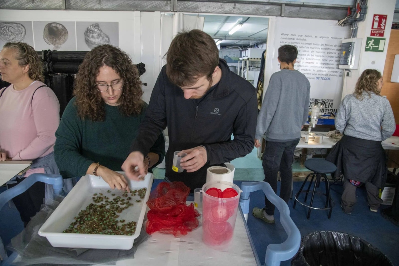Vecinos del Mar Menor se convierten en jardineros de ostras para recuperar la laguna