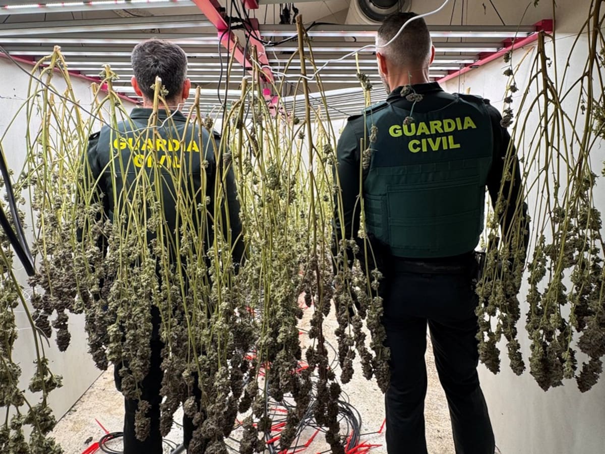 Detenidos cuatro miembros de una familia por la distribución de cocaína y marihuana en Dolores