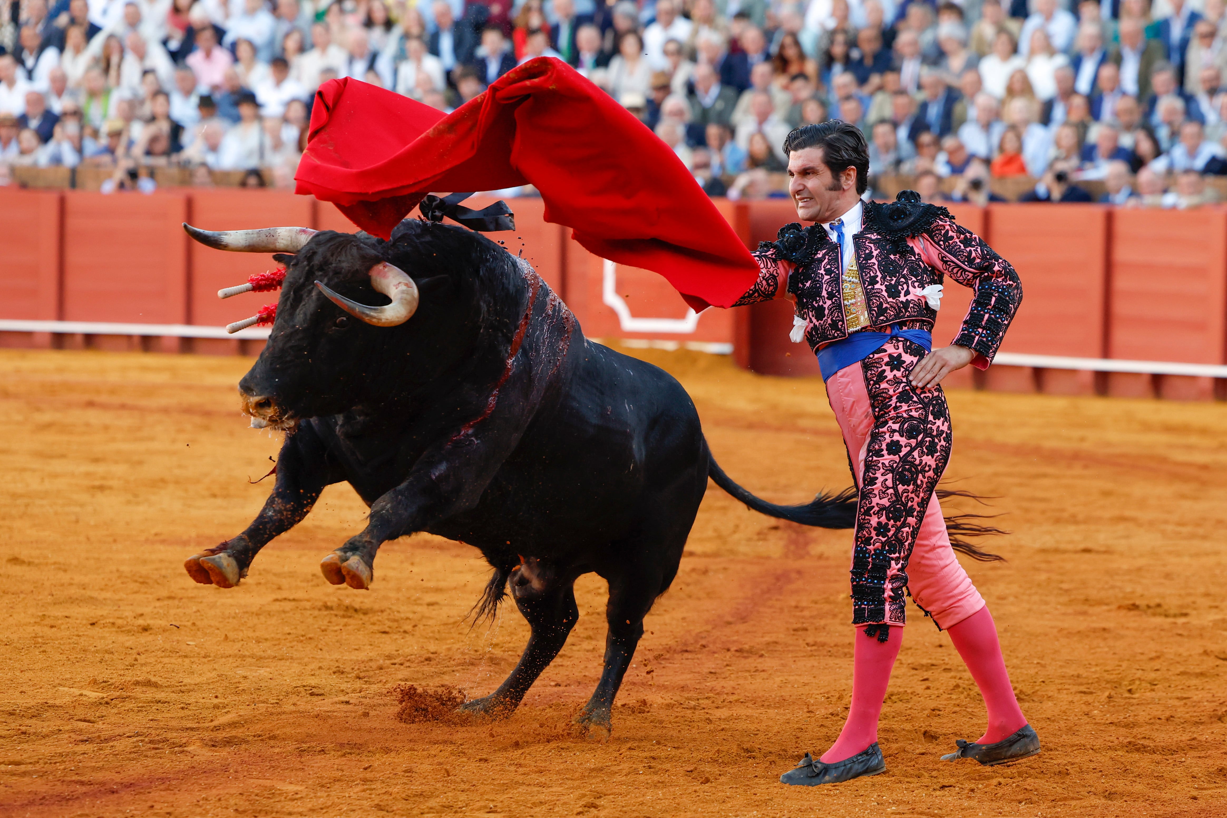 SEVILLA, 11/04/2024.- El diestro Morante de la Puebla lidia su segundo toro de la tarde durante el quinto festejo de la Feria de Abril, este jueves en la plaza de toros de la Real Maestranza de Sevilla, con toros de Juan Pedro Domecq. EFE/ Julio Muñoz
