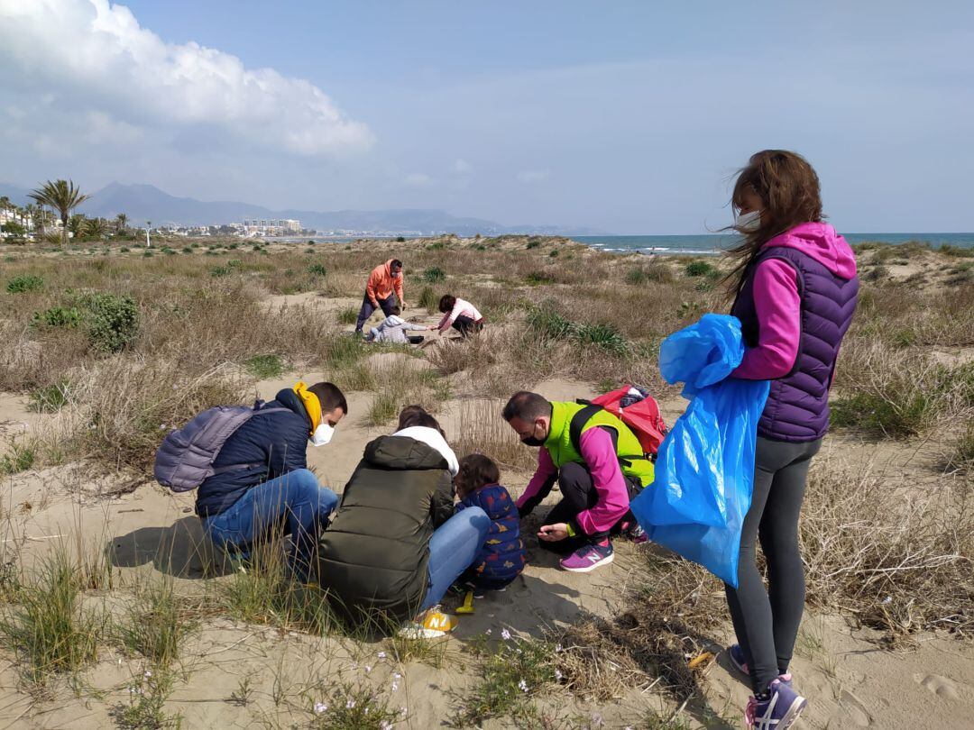 Jornada de voluntariado ambiental en las playas de Castelló