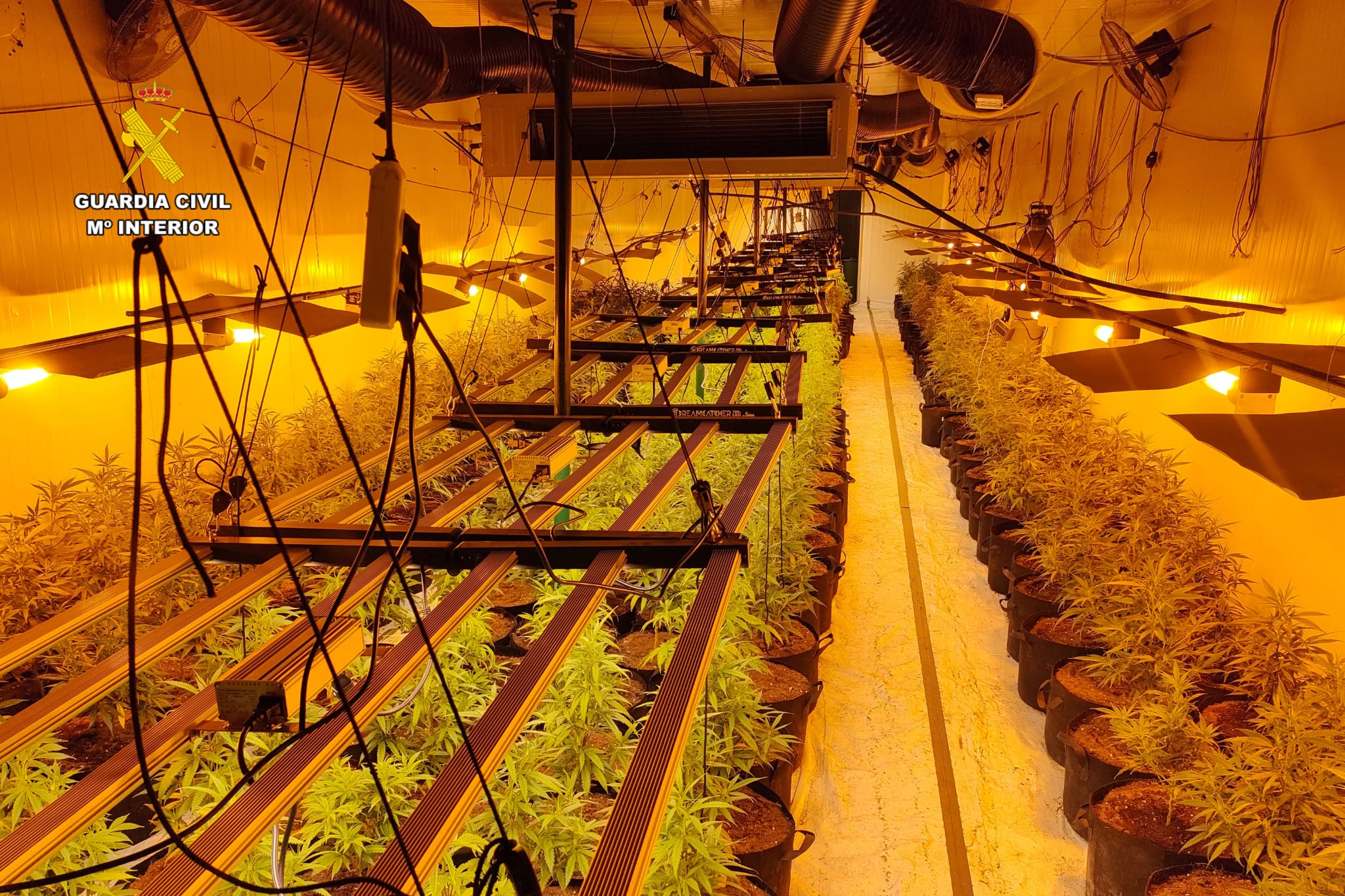 La plantación contaba con diferentes espacios según el crecimiento de la planta