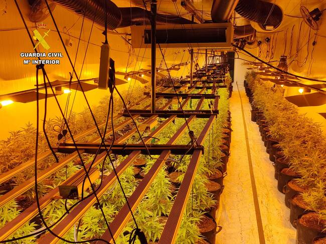 La plantación contaba con diferentes espacios según el crecimiento de la planta