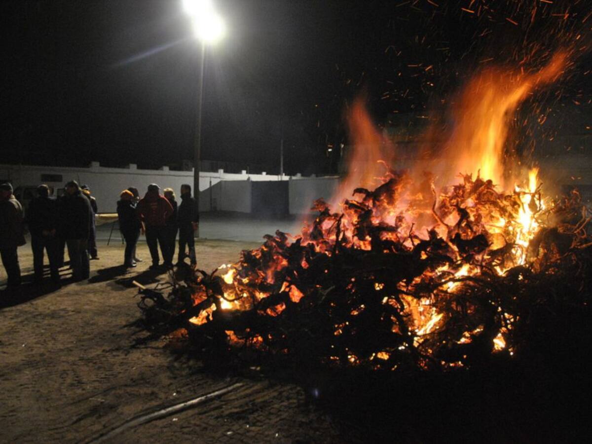 La comarca de La Mancha celebra, durante este fin de semana, las fiestas de San Antón