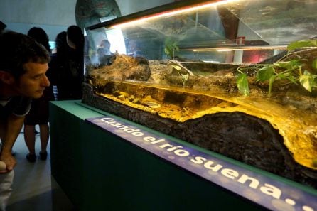 Acuario de la Casa del Río