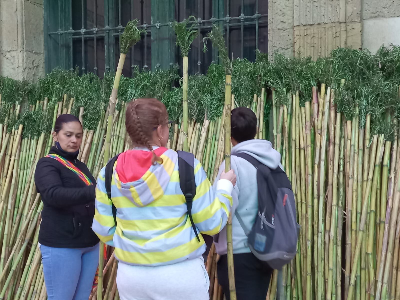 Romeros cogiendo cañas en la puerta del Ayuntamiento de Alicante