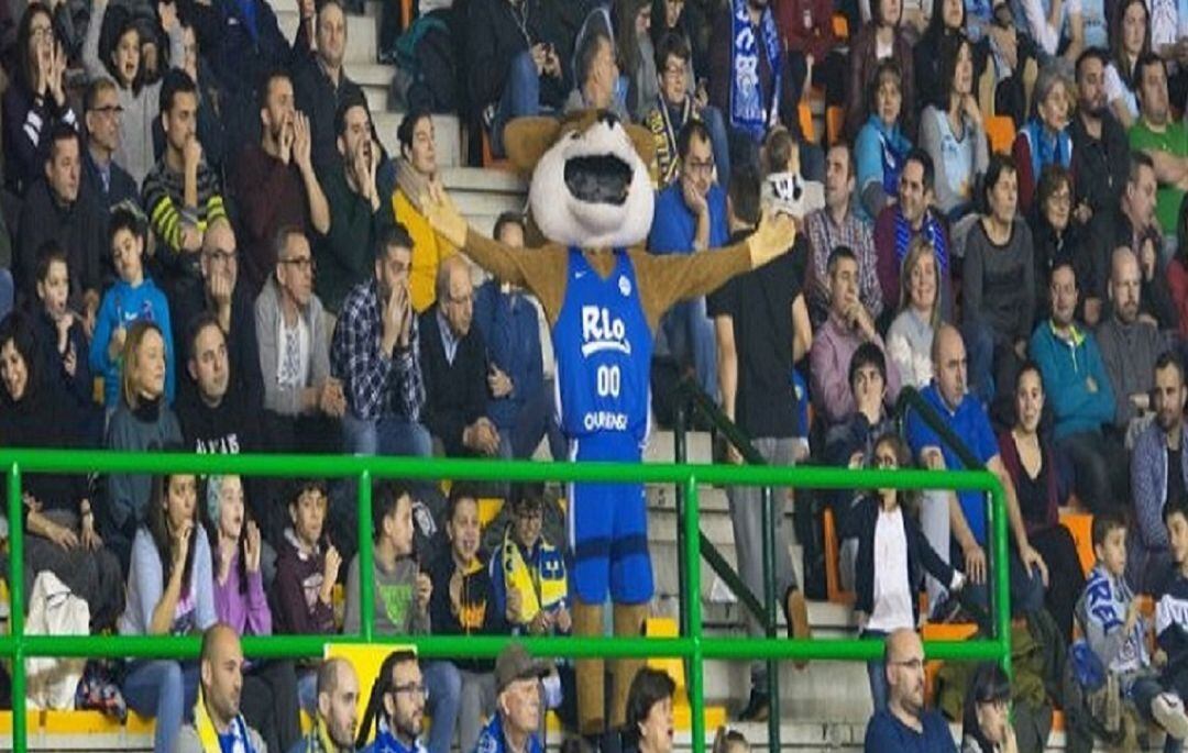 Este jueves en el Pazo de los deportes Paco Paz, el Club Ourense Baloncesto puede cerrar esta eliminatoria del playoff de ascenso a la liga ACB, ante Oviedo.