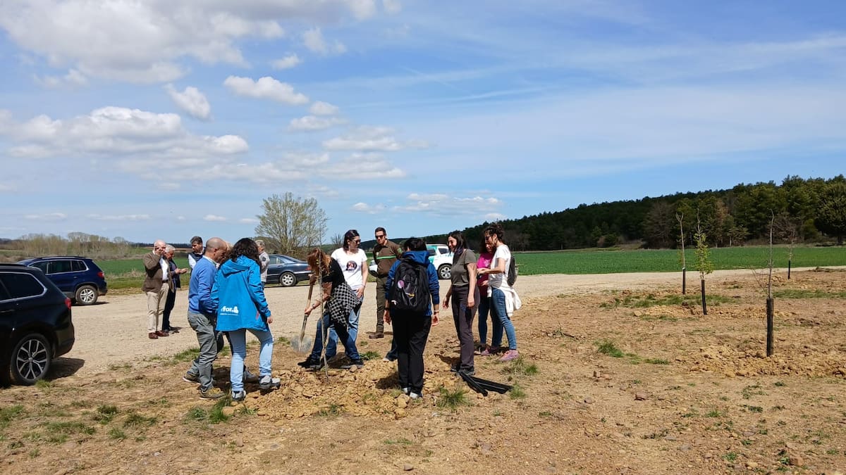 El proyecto 'Bosque Modelo' llega a su fin con 31 planes municipales de prevención de incendios