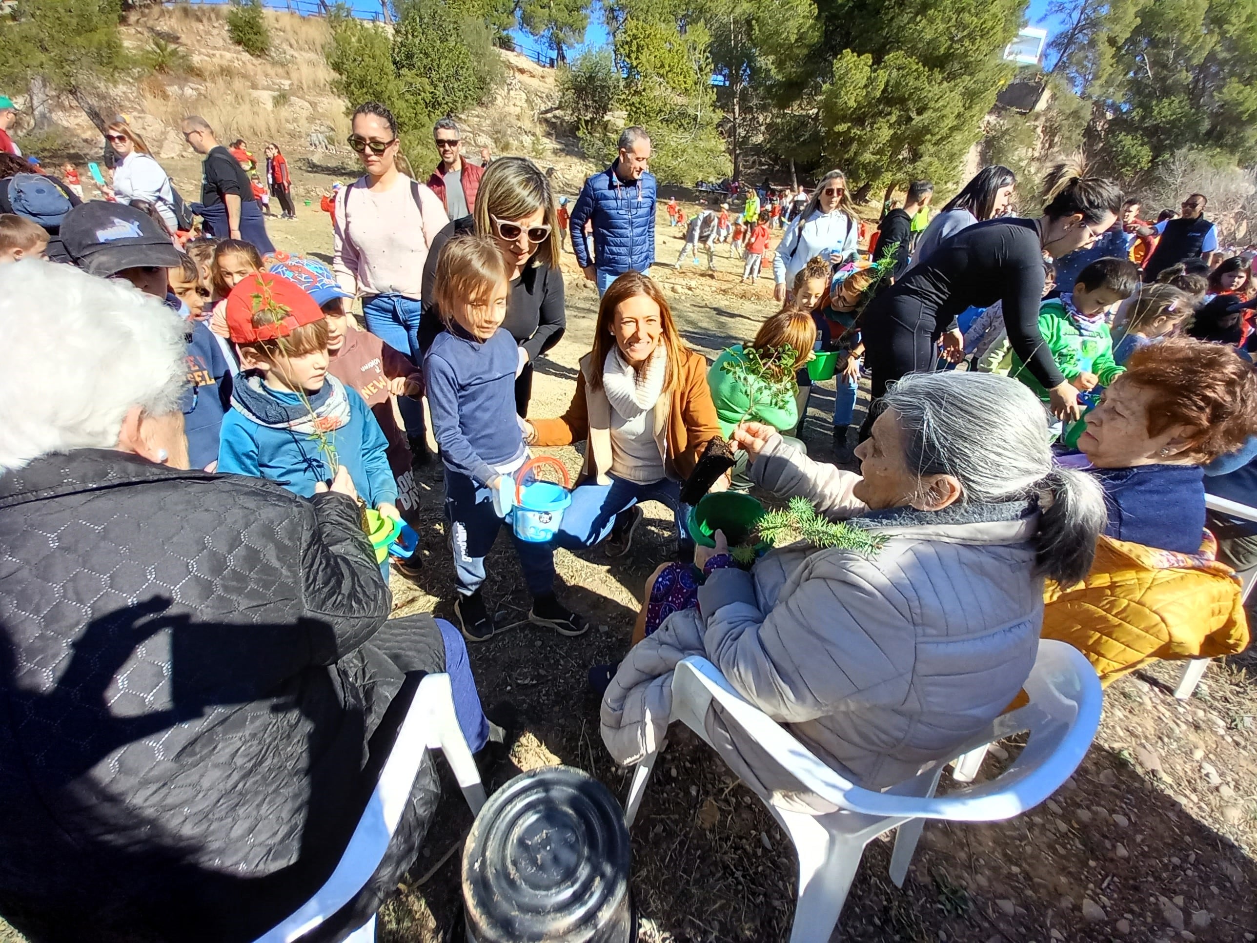 Celebración del día del árbol en Almassora