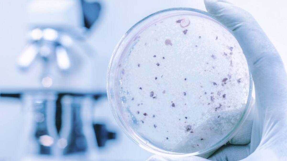 Las mujeres científicas, Medalla de las Cortes de Aragón 2018