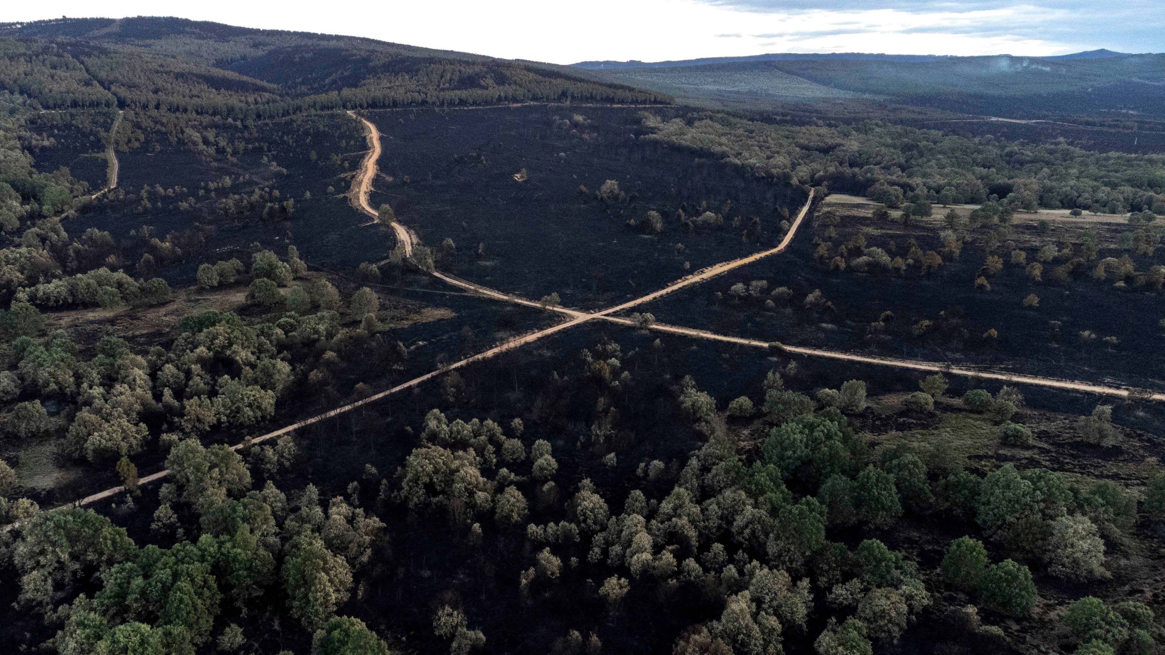 Imagen de la Sierra de la Culebra tras el incendio