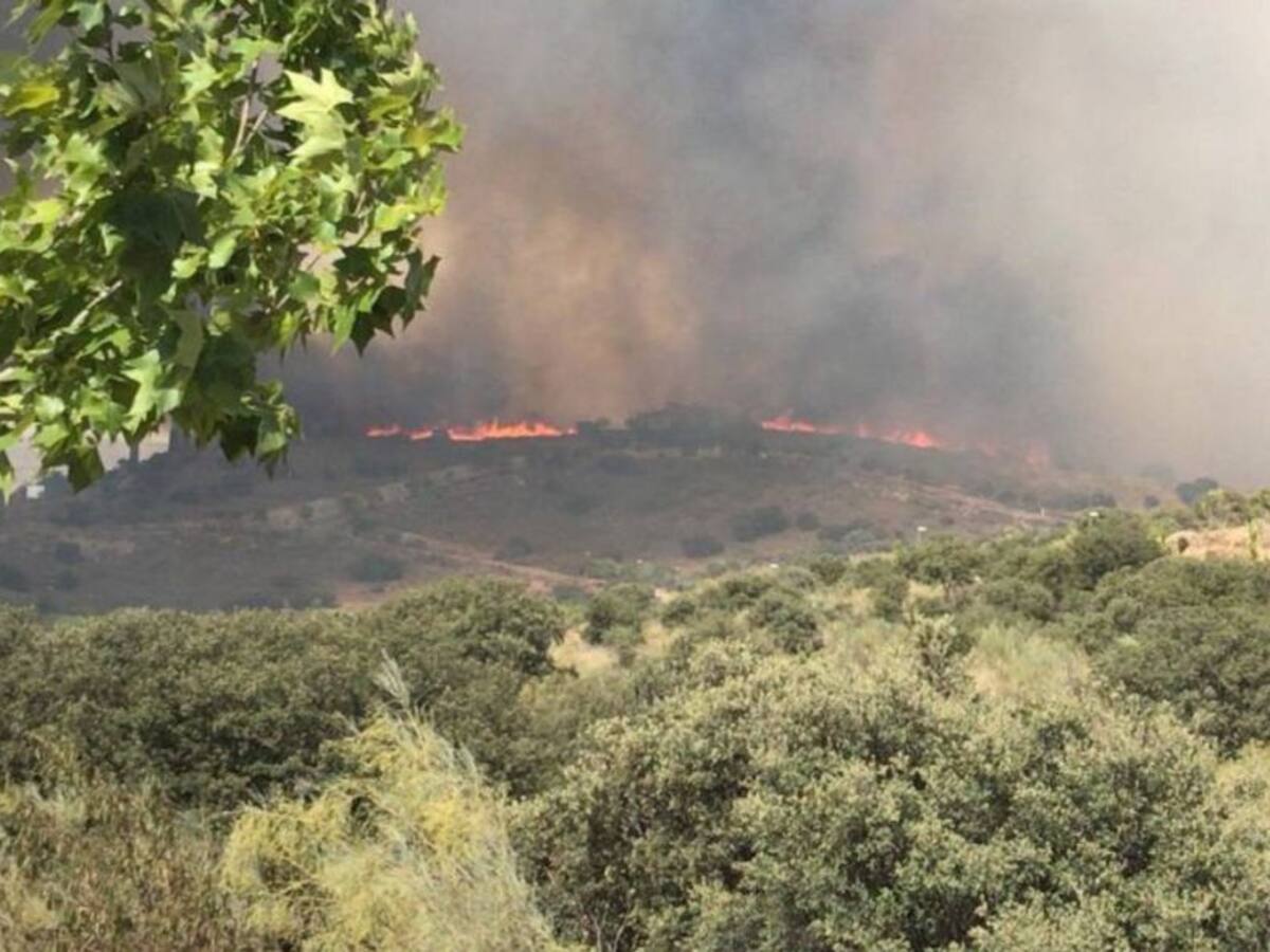 Un año después del incendio que mantuvo en vilo a la ciudad de Toledo