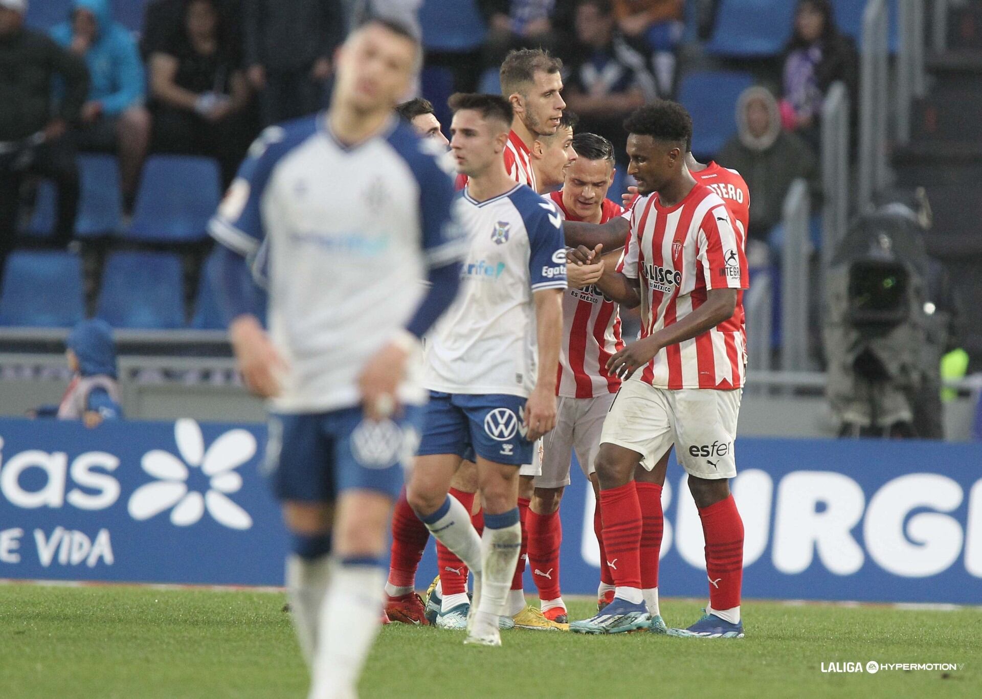 El Tenerife volvió a perder en casa por segunda semana consecutiva.