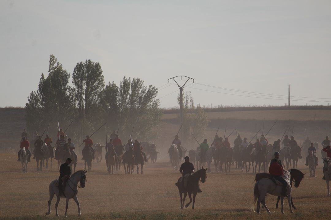 Caballistas participan en un encierro de Cuéllar en 2018