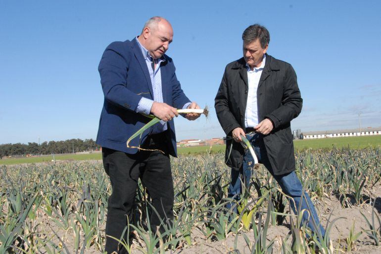 El presidente de la Diputación Francisco Vázquez (d) junto a uno de los miembros de la asociación Asoprofit tras la firma del convenio.