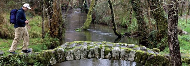 El Camino portugués de Santiago sigue creciendo más que el resto de los caminos