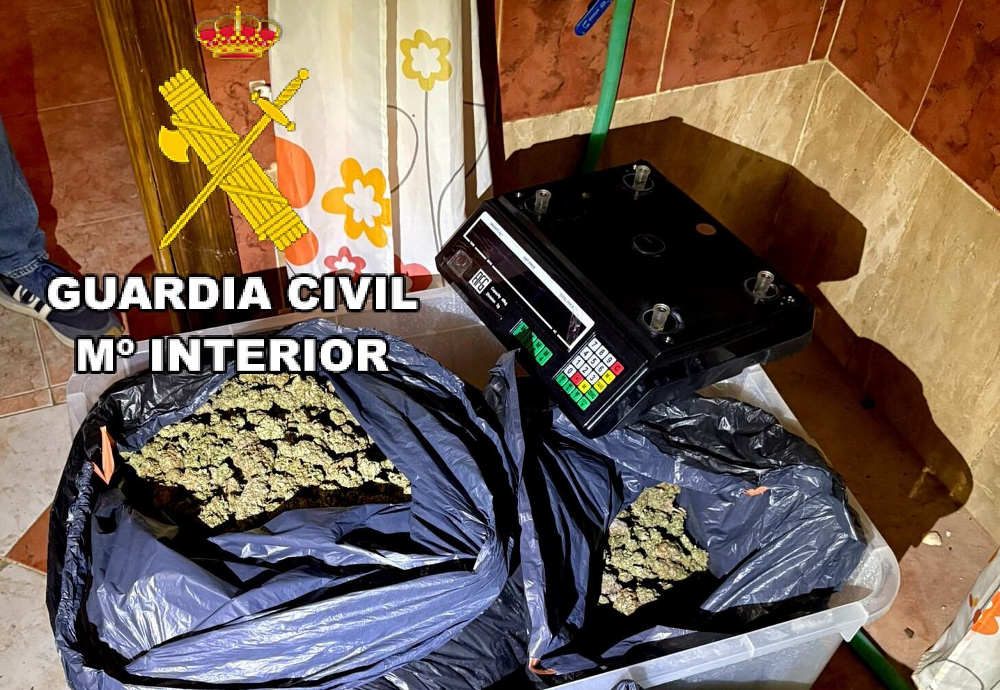 Marihuana intervenida por la Guardia Civil.