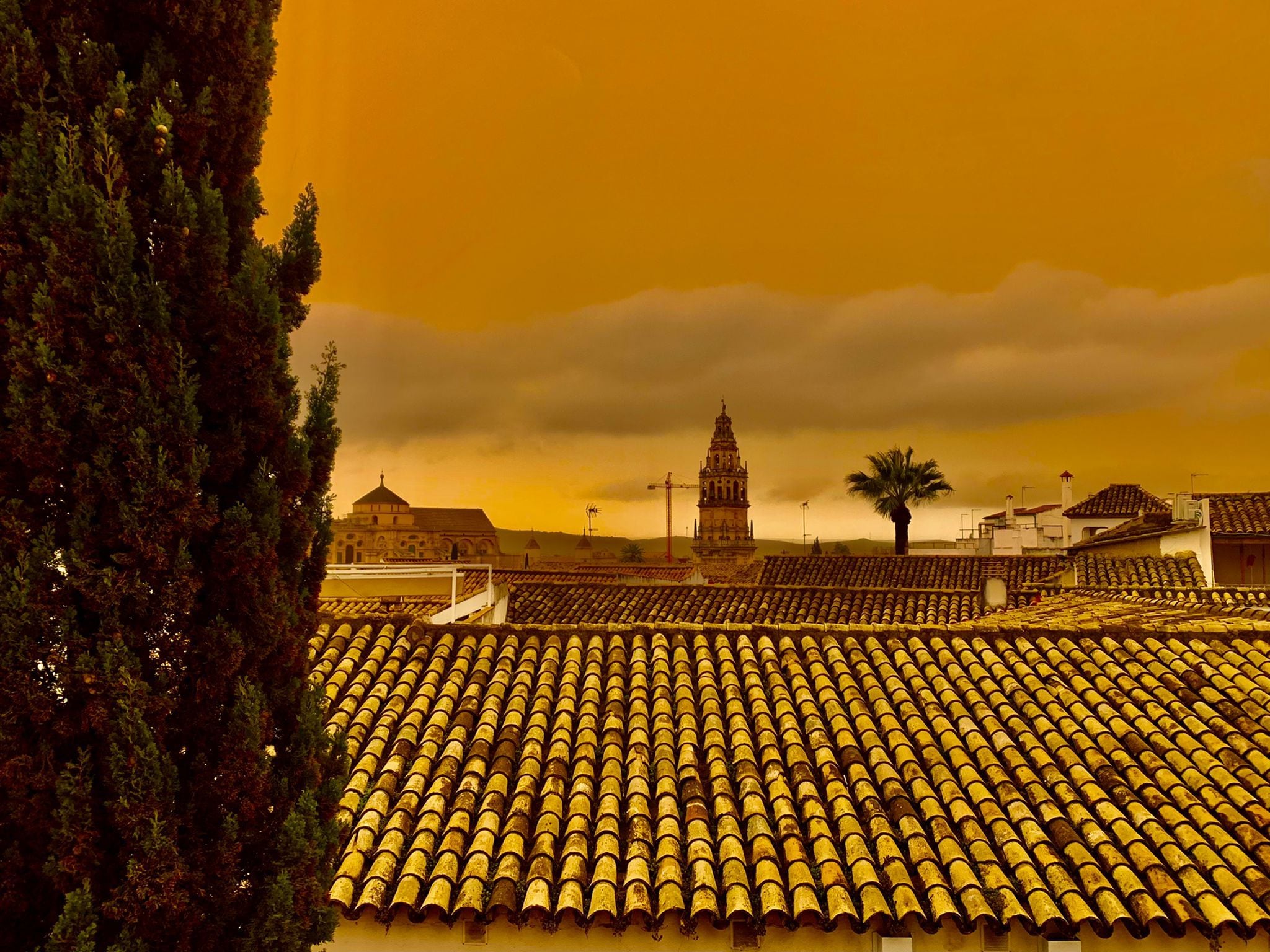 La calima tiñe en sepia una instantánea de la Mezquita Catedral de Córdoba, desde una azotea