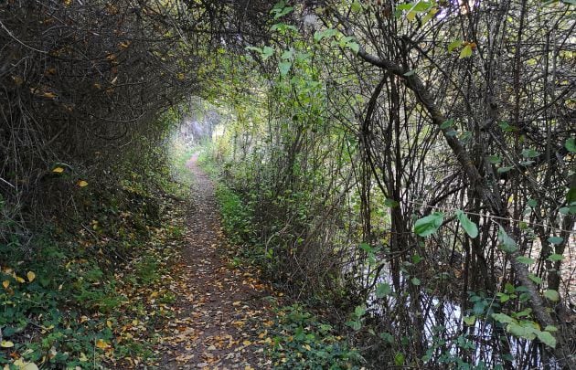 Sendero junto al río Huécar