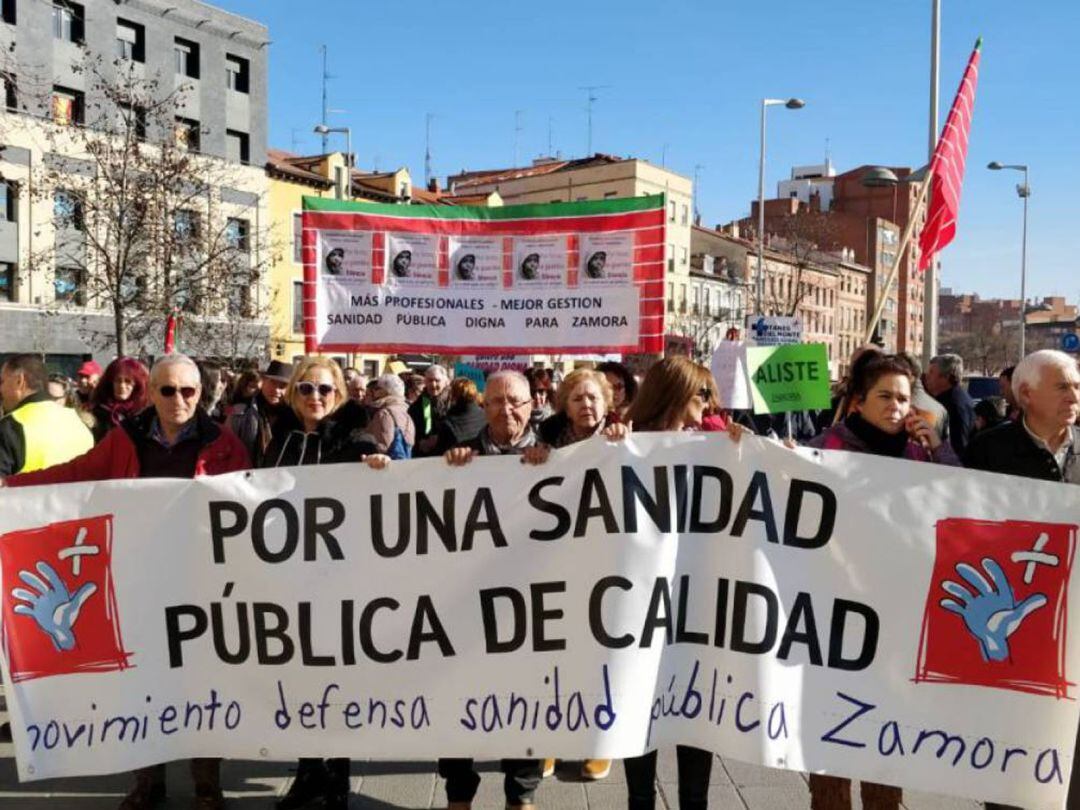 Manifestantes zamoranos en la movilización en defensa de la Sanidad Pública en Valladolid el pasado mes de enero
