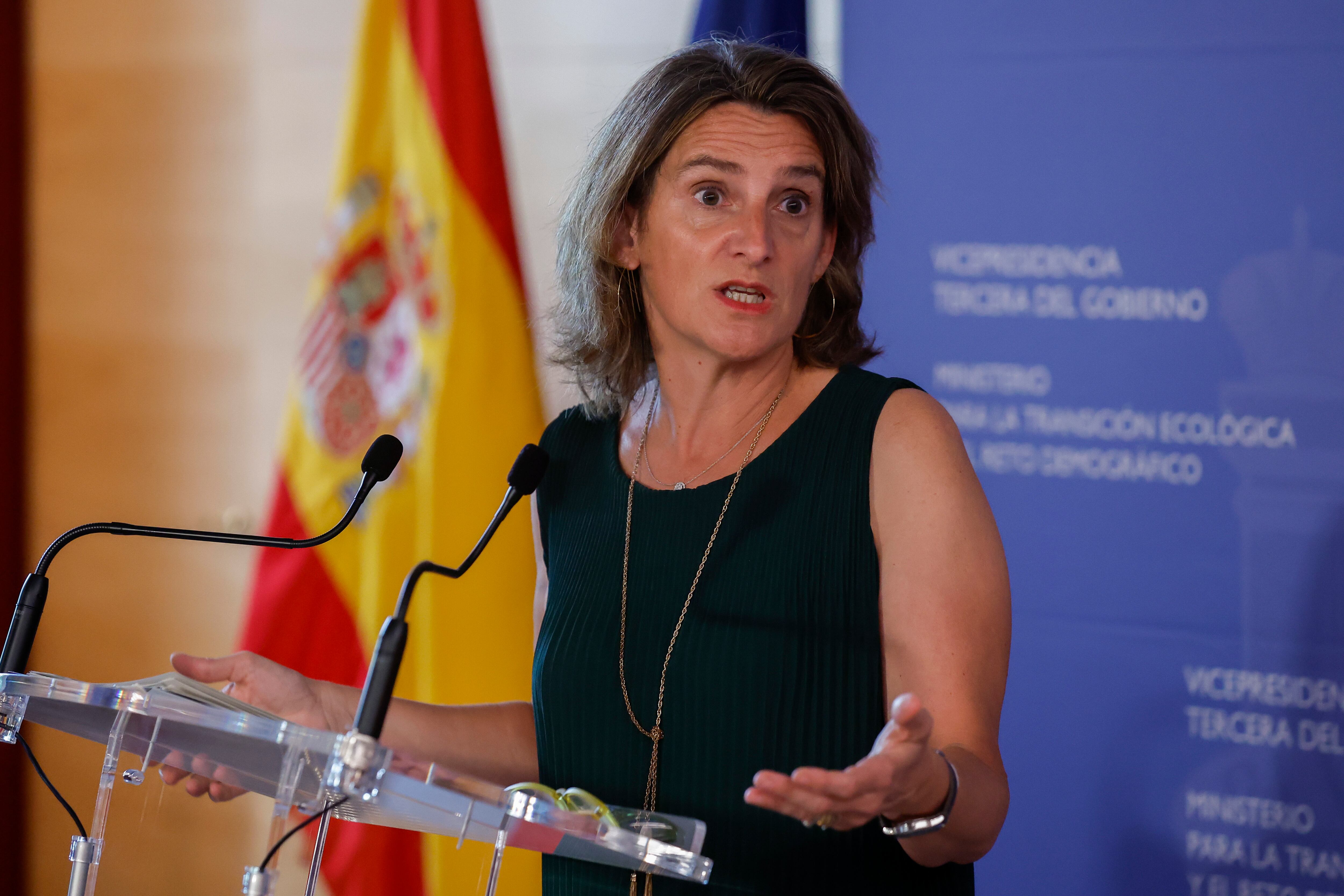 La ministra para la Transición Ecológica y el Reto Demográfico, Teresa Ribera, atiende a la prensa tras la reunión telemática con los responsables autonómicos en las áreas de Energía, Industria y Comercio y la Federación Española de Municipios y Provincias (FEMP) para analizar los detalles del plan de ahorro, este lunes en Madrid.