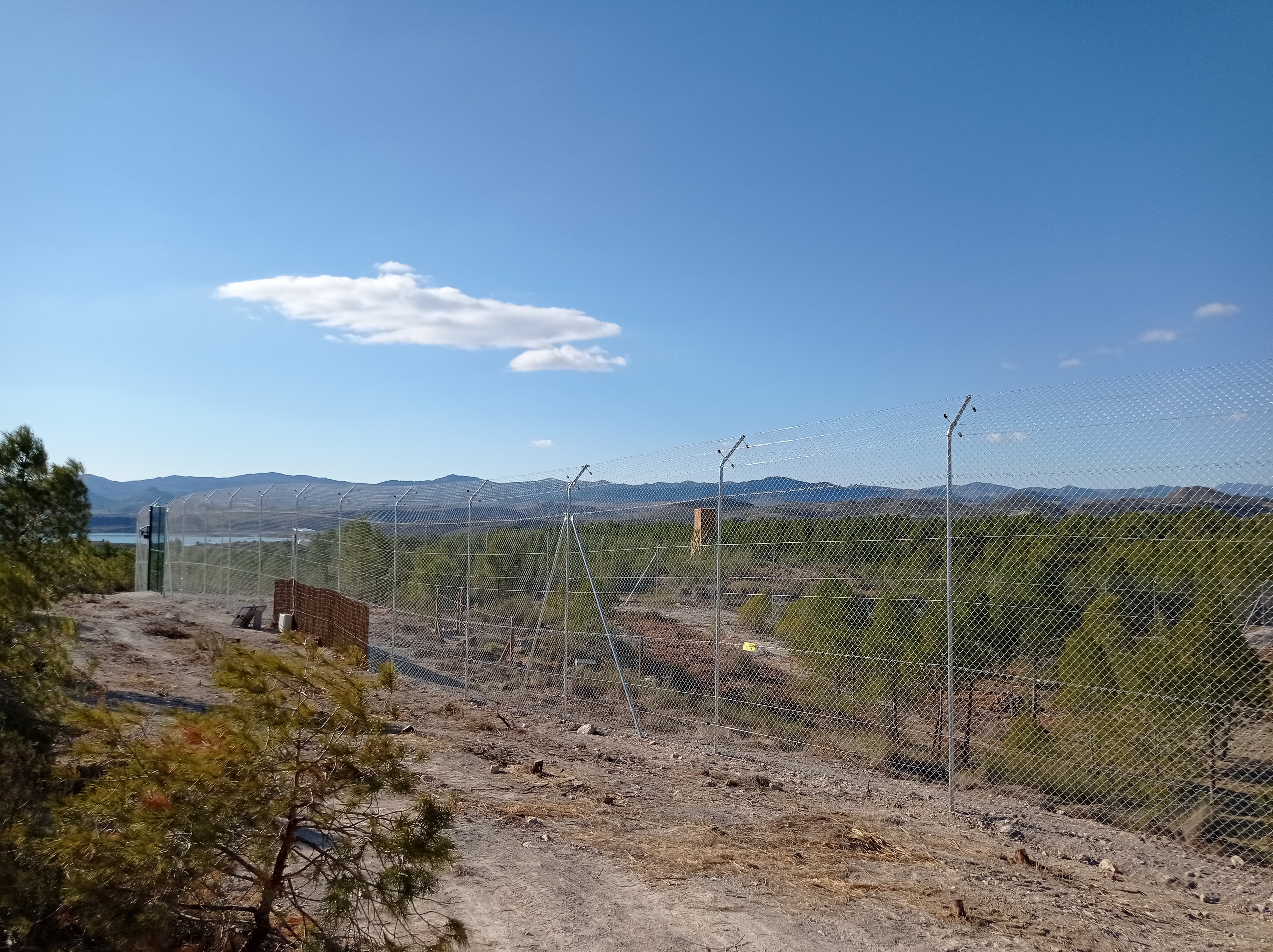 Cercado de 1.000 M2 donde permanecerán los linces