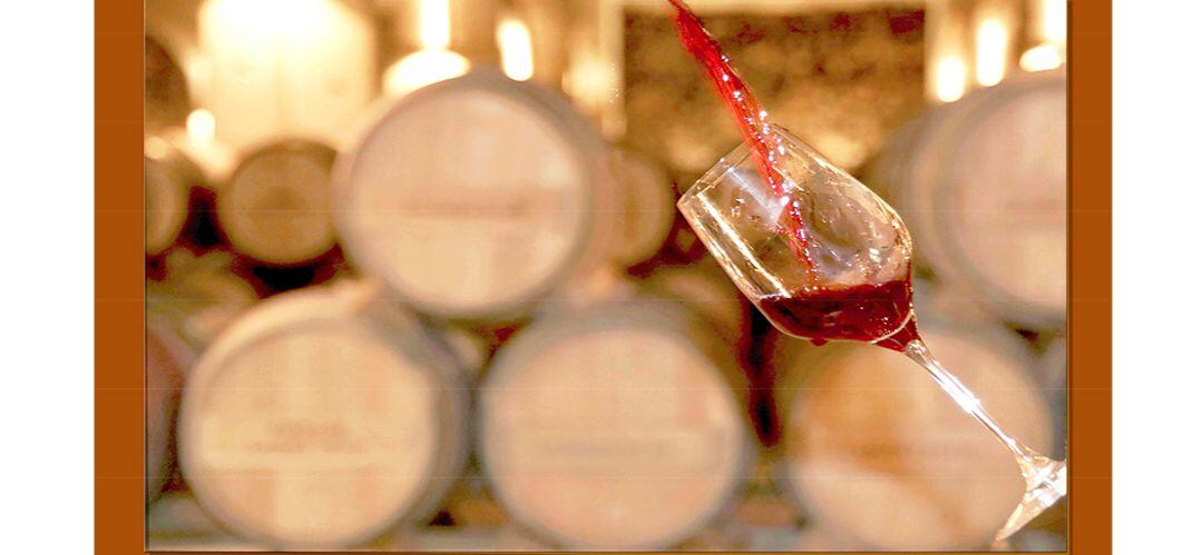 Parla expone el viaje de una uva desde la cepa hasta que se convierte en un vino delicioso