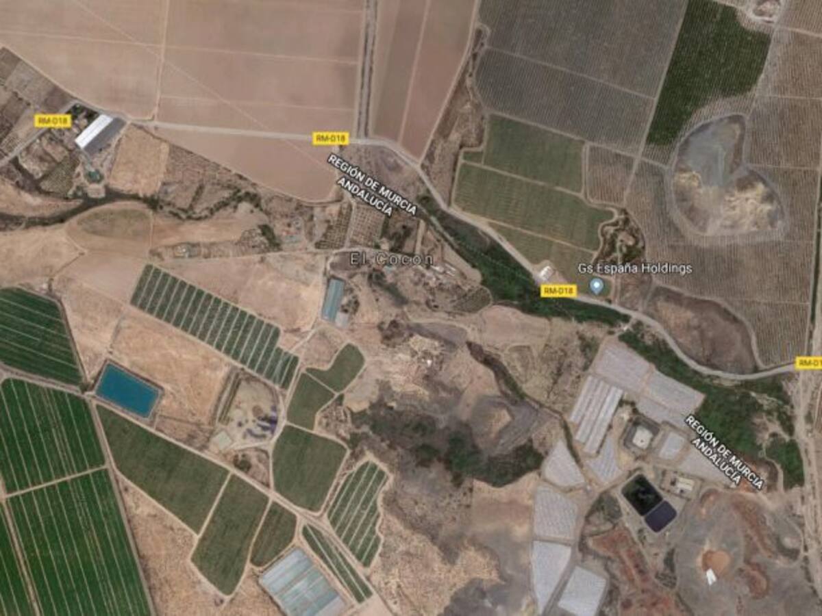 Una mujer ha sido detenida en Águilas por matar a su hermano de una cuchillada