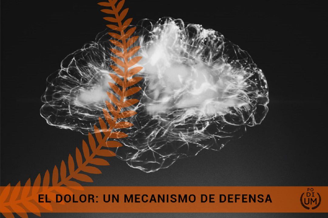 El dolor, un mecanismo de defensa