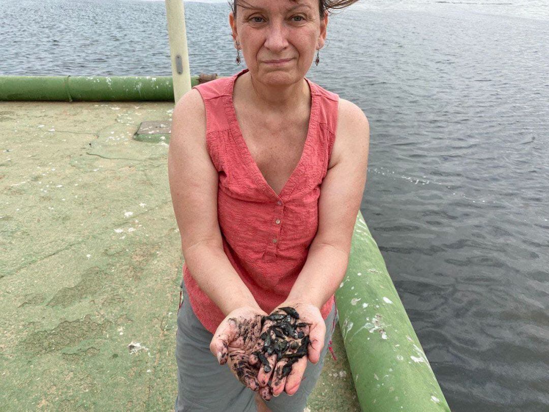 La portavoz de Podemos, María Marín, muestra los peces muertos recogidos en la orilla de la playa de Los Nietos, Cartagena.