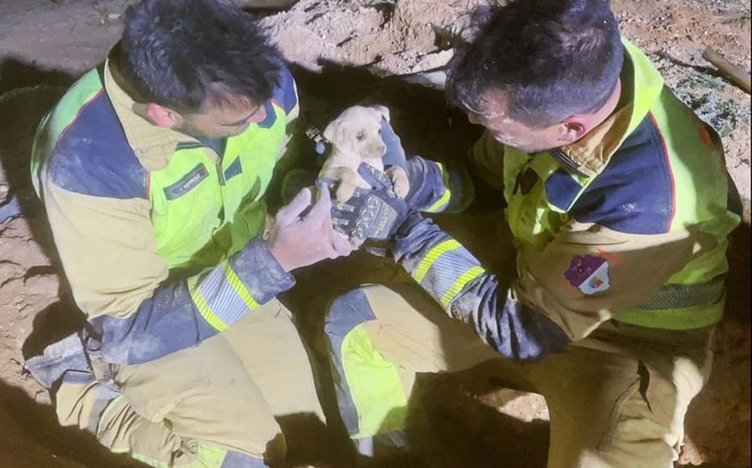 En el rescate participaron bomberos, voluntarios de ERA, y voluntarios de Hogar de Paz animales abandonados