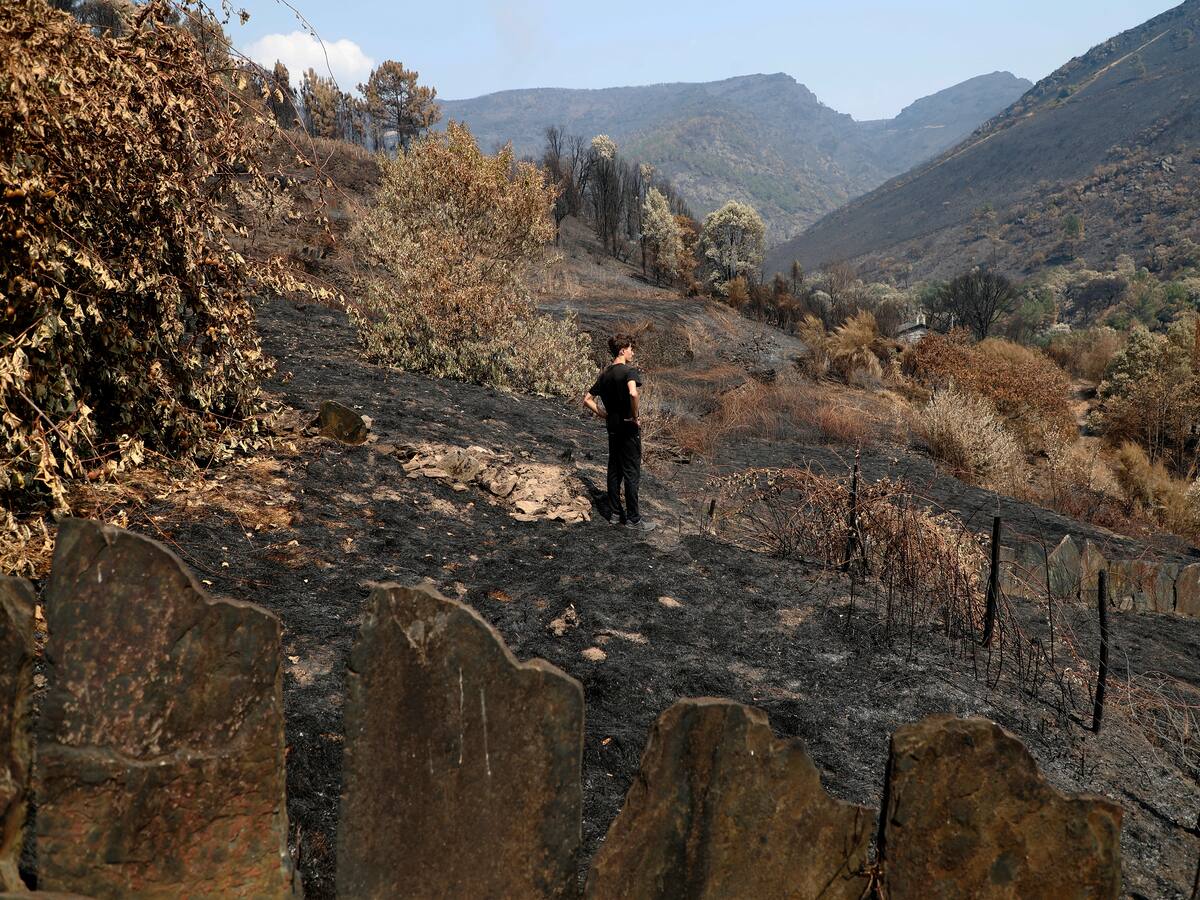 "Como los resultados no se ven en una legislatura no interesa": la ciencia reivindica ser escuchada en materia de prevención de incendios
