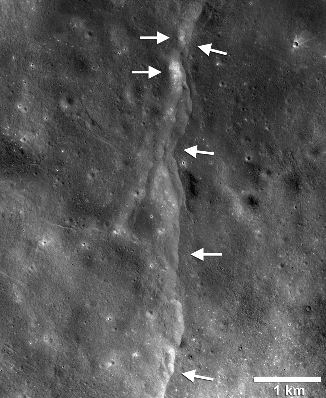 Esta falla de empuje prominente es una de las miles descubiertas en la luna por el Lunar Reconnaissance Orbiter (LRO) de la NASA. Estas fallas se asemejan a pequeños acantilados. 