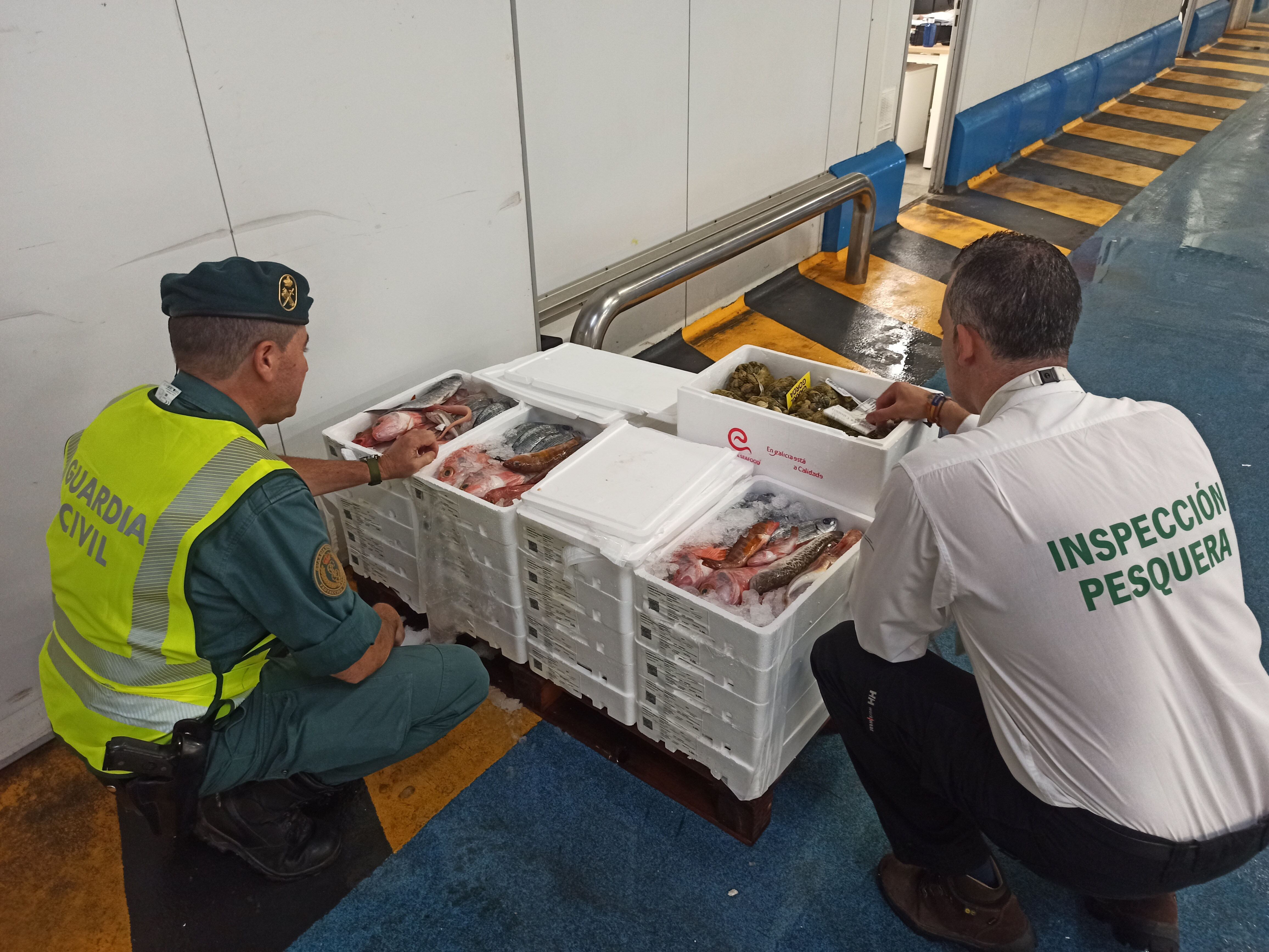 Agentes de la Guardia Civil y de inspección pesquera confiscando pescado inmaduro en un polígono de Guarromán (Jaén)