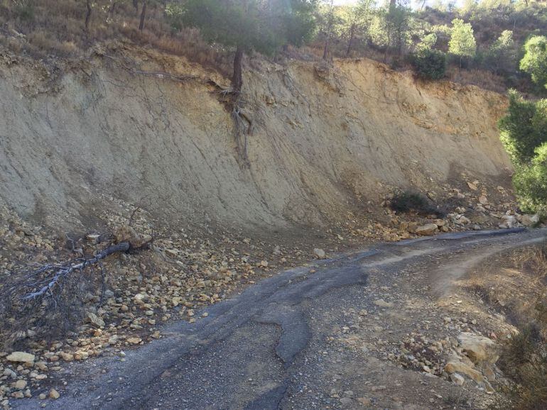 El camimo de Los Chaparrales en Petrer presenta muy mal estado